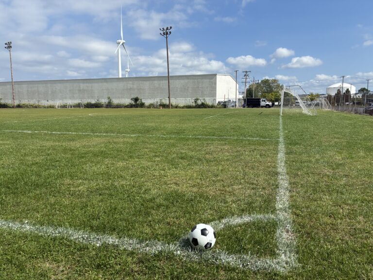 photo showing a sports field and net with wind turbines in the background