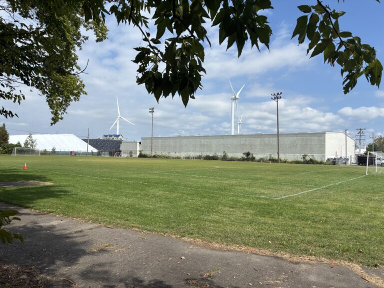 photo showing a sports field and net with wind turbines in the background