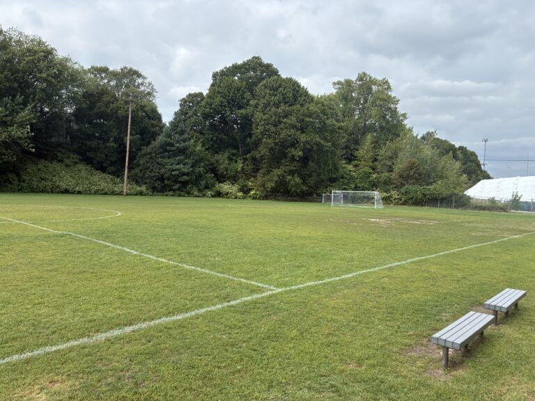 photo showing a sports field and net