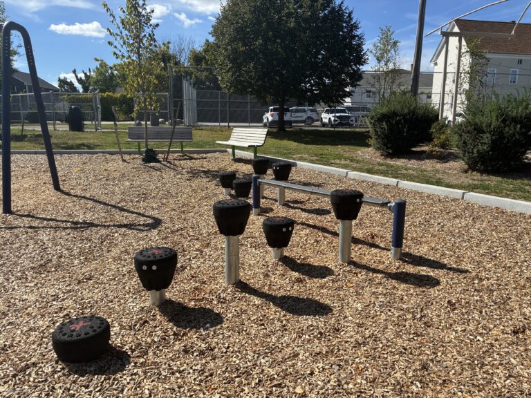 balancing component at George J West Park Playground