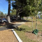George J West Park facing Mt Pleasant Ave north entrance to playground
