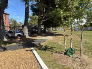 George J West Park facing Mt Pleasant Ave north entrance to playground