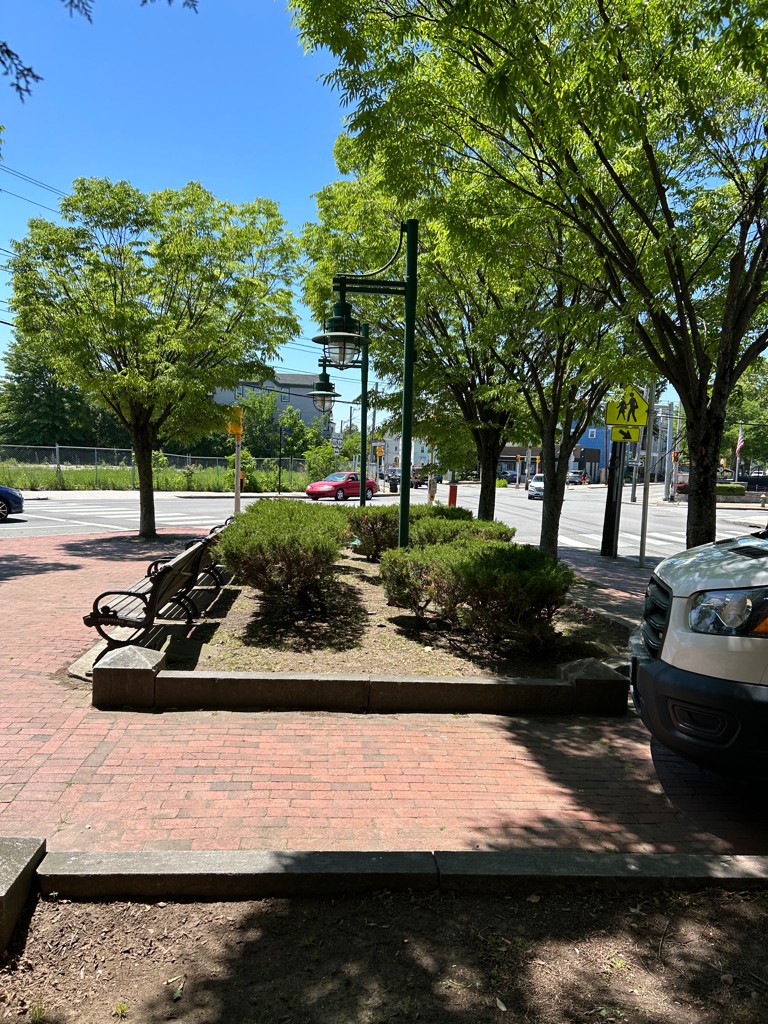 Photo showing bushes, trees, walking paths, and seating areas in a park