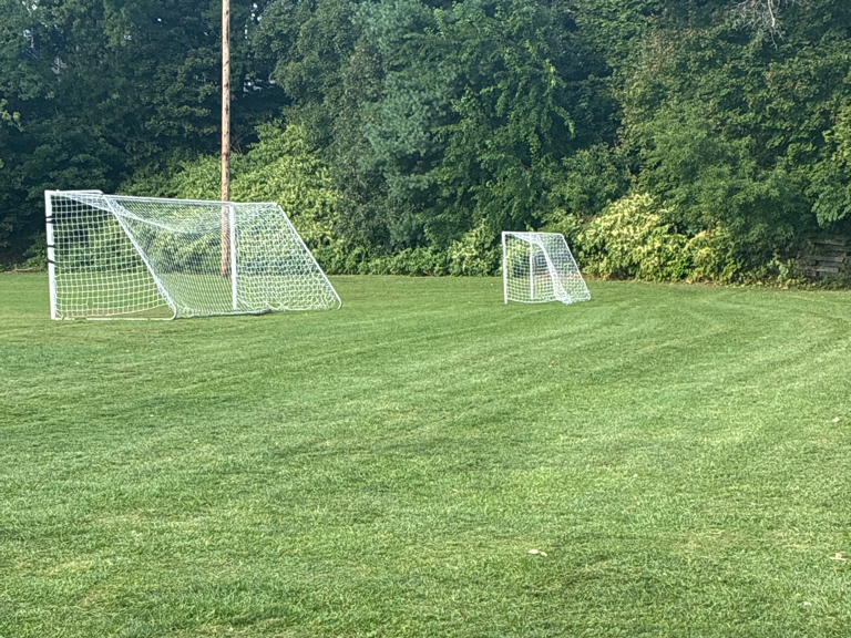 photo of soccer nets