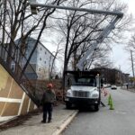 Providence Forestry trimming trees at Billy Taylor Park