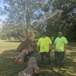 Providence Forestry removing a large tree down in Roger Williams Park