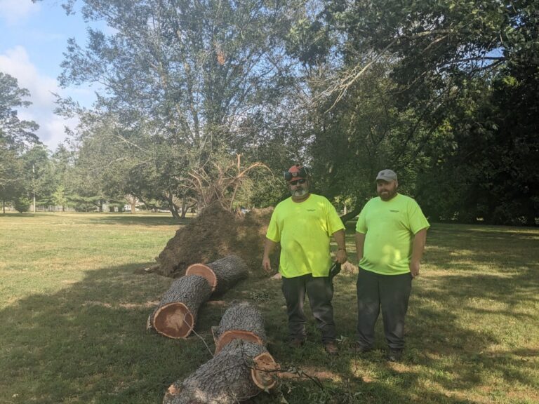 Providence Forestry removing a large tree down in Roger Williams Park