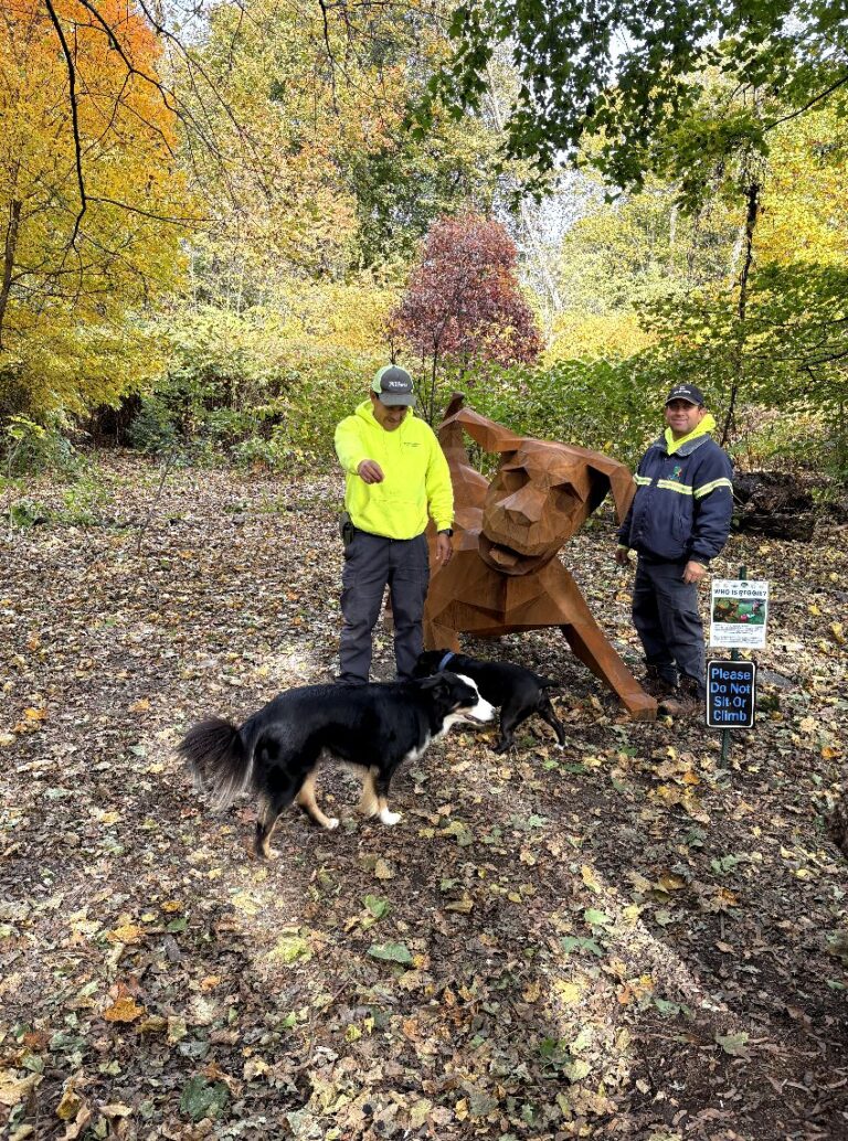 Parks Maintenance installed statue at Waterman Dog Park