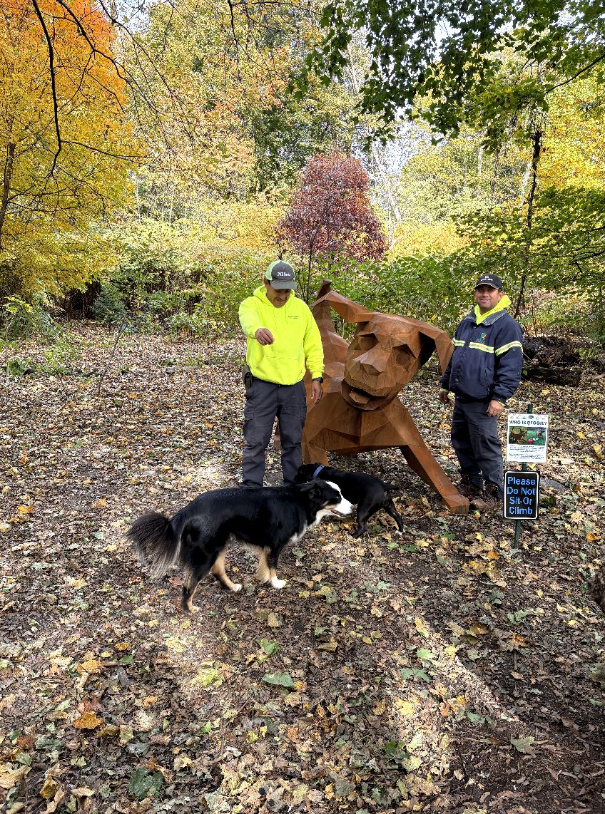 Parks Maintenance installed statue at Waterman Dog Park