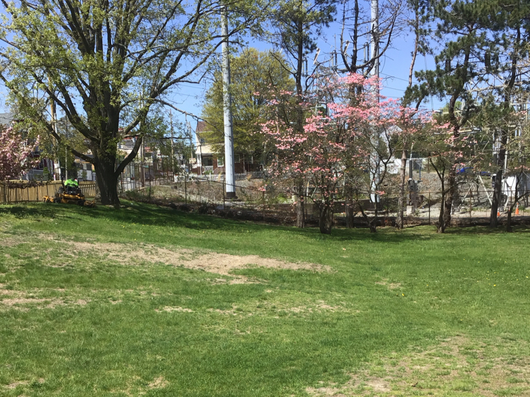 photo showing a grass field surrounded by trees