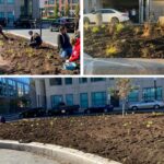 A collage of photos showing people planting new plants at Amtrak Station Park