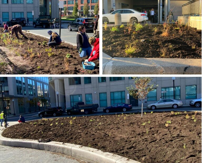 A collage of photos showing people planting new plants at Amtrak Station Park