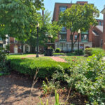 Photo showing plants and the fountain at Abbott Park