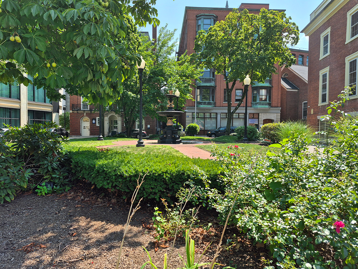 Photo showing plants and the fountain at Abbott Park