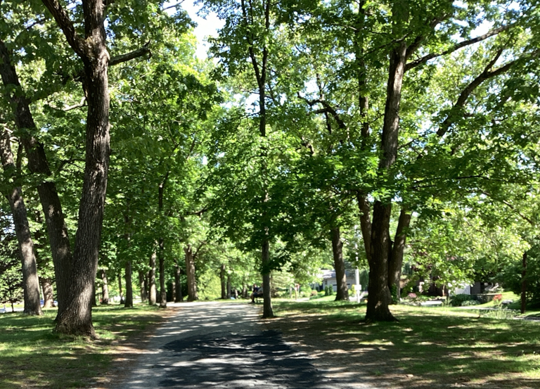A photo showing the tree lined paths of Blackstone Boulevard Park