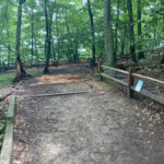 Photo showing treed area
