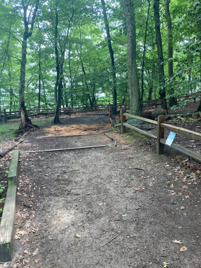 Photo showing treed area
