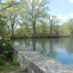 Photo showing trees along the water in the Canada Pond Management Area