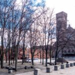 Photo showing trees in Cathedral Square and the Cathedral of Saints Peter and Paul