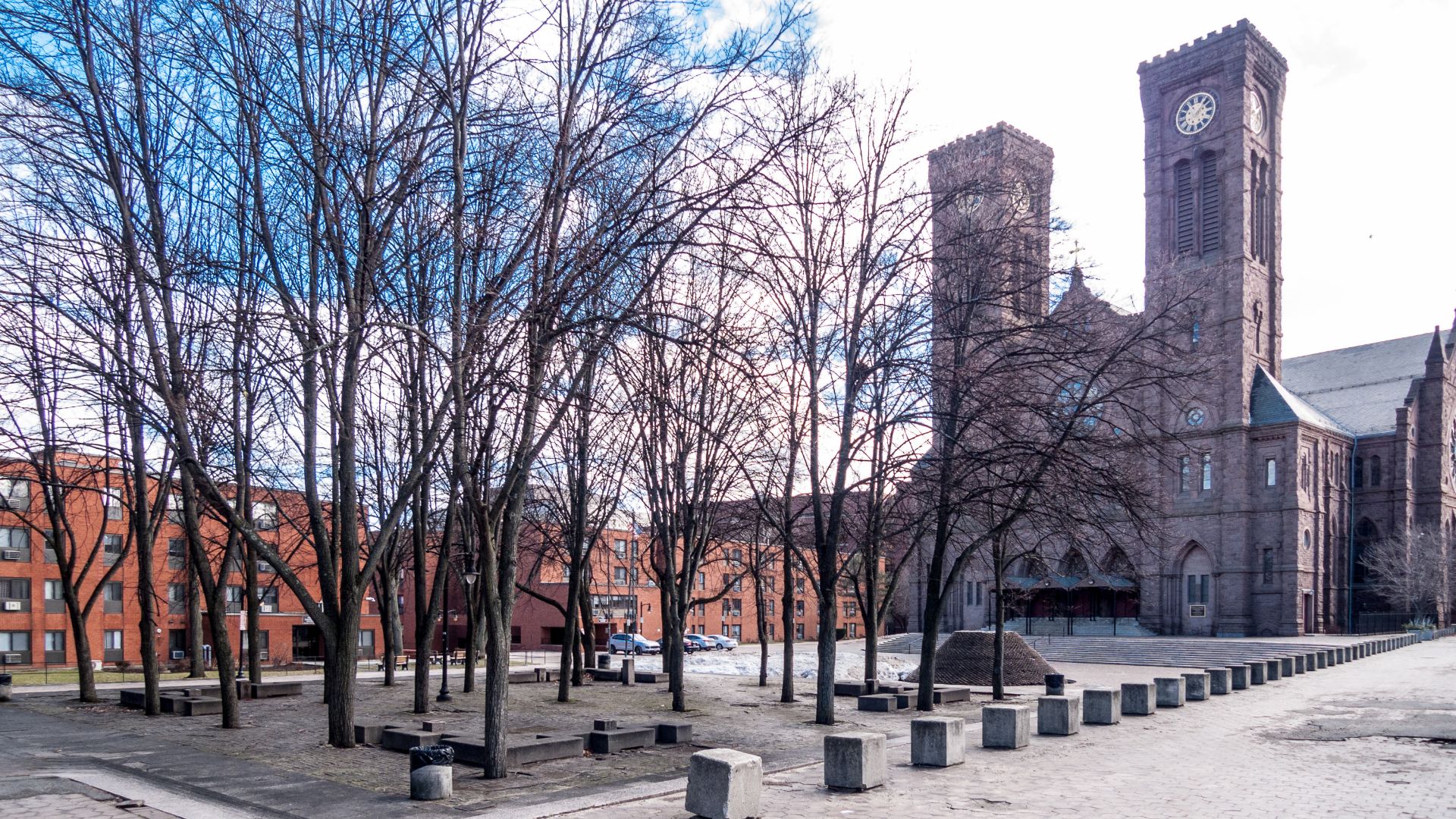 Photo showing trees in Cathedral Square and the Cathedral of Saints Peter and Paul