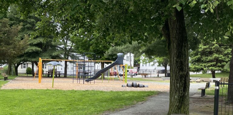 Photo showing playground structures at Clarence Street Park
