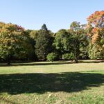 Photo showing open fields surrounded by trees at Constance Witherby Park
