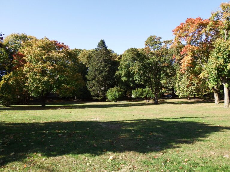 Photo showing open fields surrounded by trees at Constance Witherby Park