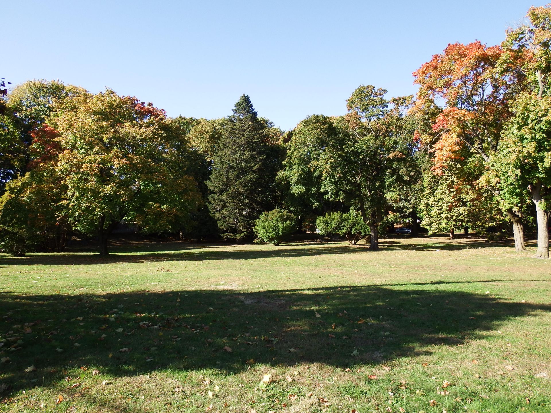 Photo showing open fields surrounded by trees at Constance Witherby Park