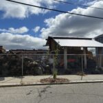 Salem St Wood Lot
