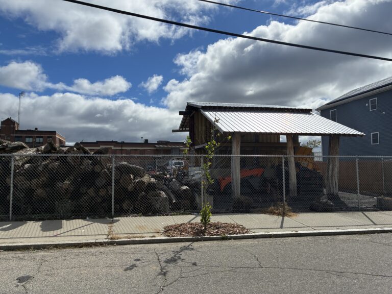 Salem St Wood Lot