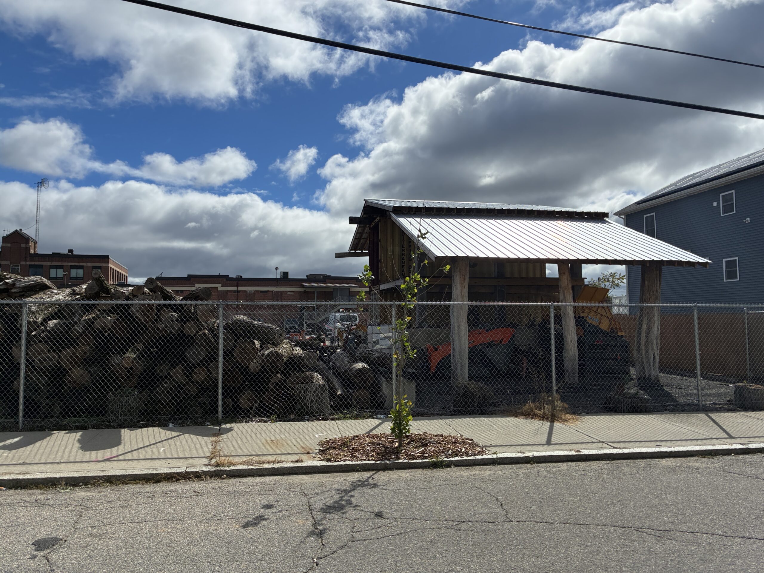 Salem St Wood Lot
