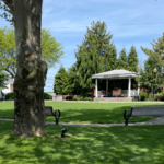 Photo showing seating, open grass area, and stage at Garibaldi Square