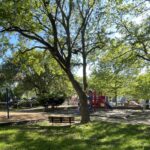 Photo showing trees and playground at George Arajo Park