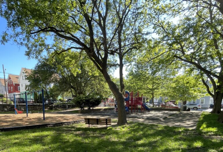 Photo showing trees and playground at George Arajo Park