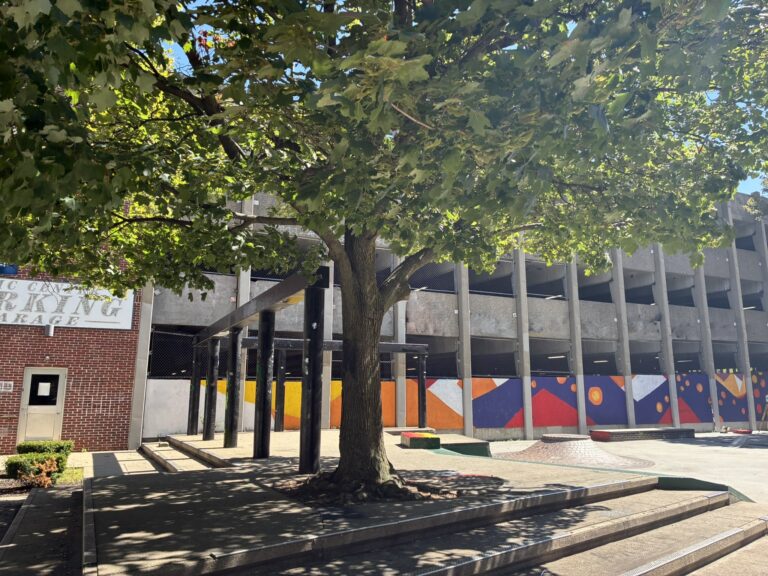 photo showing skate park features