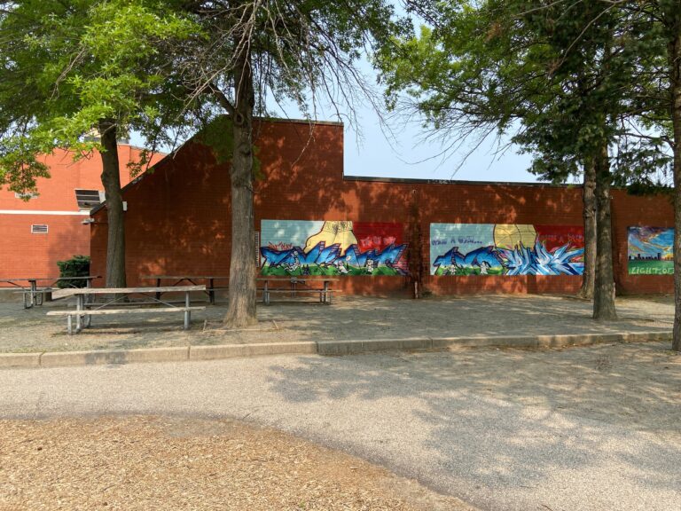 photo of murals on a wall next to a park