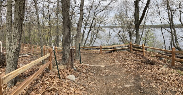 photo of fenced walking paths and trees along a body of water
