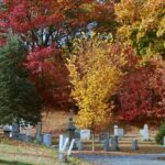 Photo showing gravestones at North Burial Ground