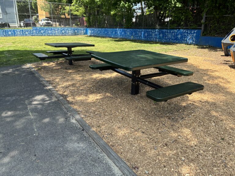Pearl St Park picnic area and field