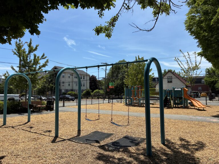 Pearl St Park swings for ages 2-12 and play structure