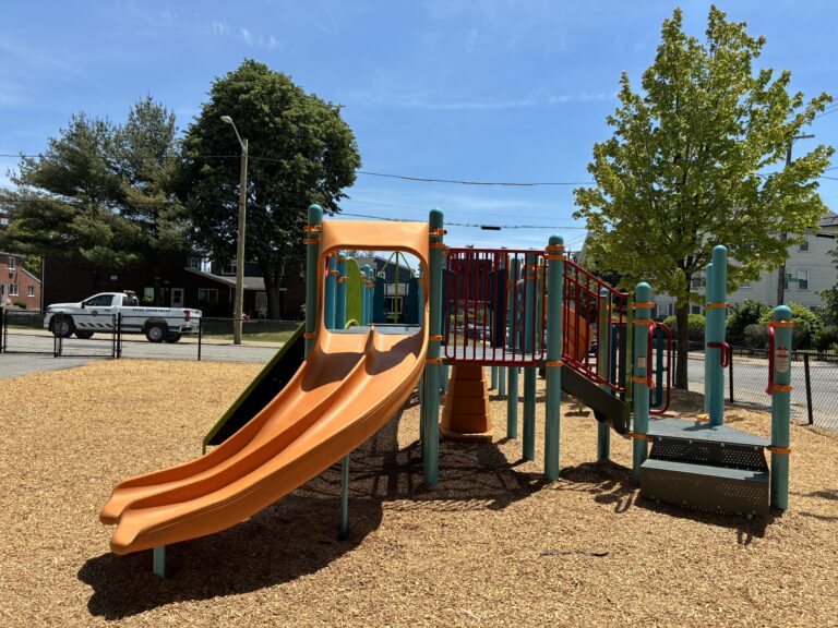 Pearl St Park play structure for ages 5-12 with double slide