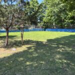 Pearl St Park grassy field perfect for lawn games or kicking a ball around