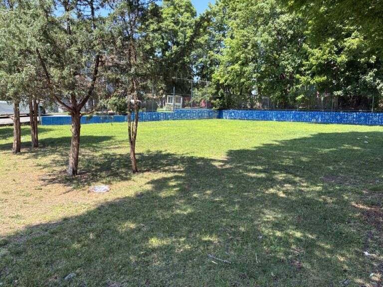 Pearl St Park grassy field perfect for lawn games or kicking a ball around