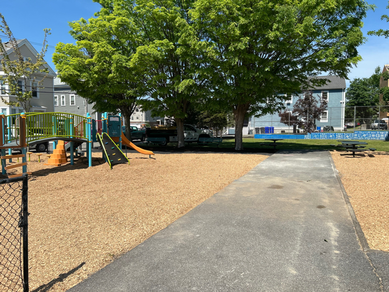 Pearl St Park view from the central path of play and picnic areas and shade trees