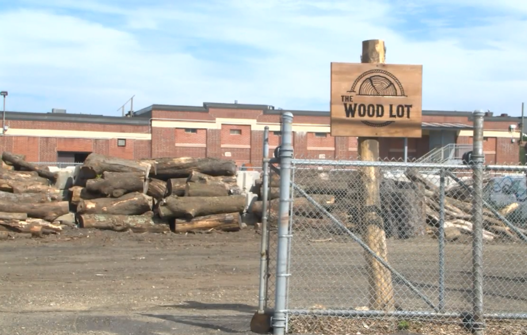 A photo showing piles of tree trunks at the The Wood Lot at Salem Street