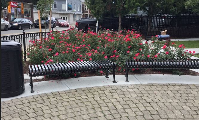Photo showing park benches at Silver Lake Memorial Park