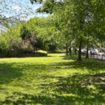 Photo showing walking path, trees, and grassy areas ofTom Twitchell Greenway