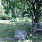 Photo showing trees and a bench at the Wild Place