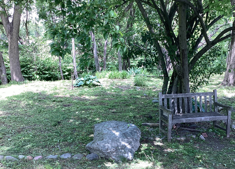 Photo showing trees and a bench at the Wild Place