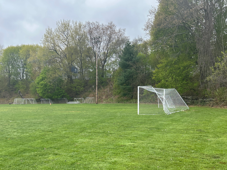photo of a soccer field and soccer goal